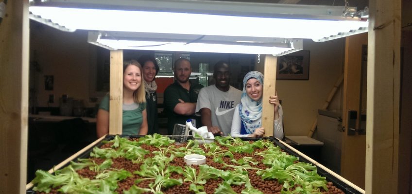 Aquaponics Project