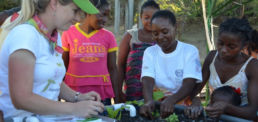 MBP’s First Aquaponics System