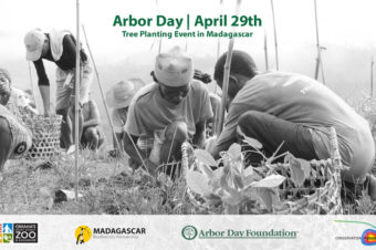 Arbor Day Celebration in Madagascar 2016