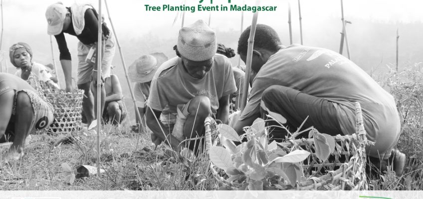 Arbor Day Celebration in Madagascar 2016