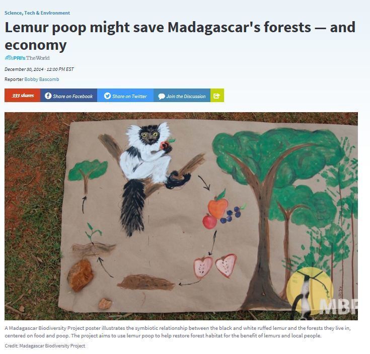 Lemur Poop: Saving Madagascar’s Forests & Economy