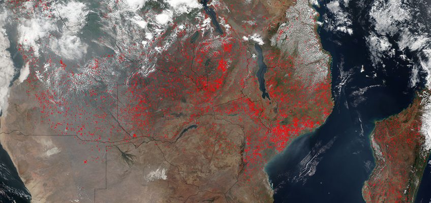 The Harsh Reality of Forest Fires in Madagascar