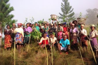 Reforestation Revives Abandoned Village