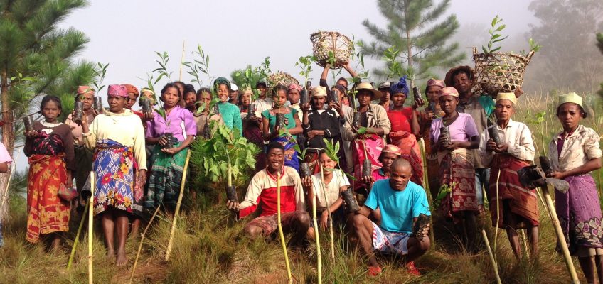 Reforestation Revives Abandoned Village