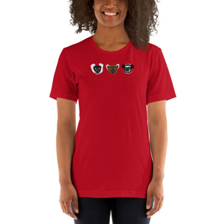 mockup-a7e7b25f.jpg