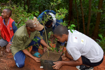 8 million trees planted!